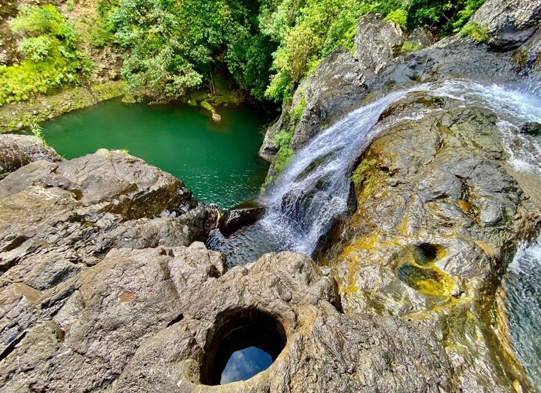 Picture 3 for Activity From Quatre Cocos: Tamarind Falls Hiking Day Trip