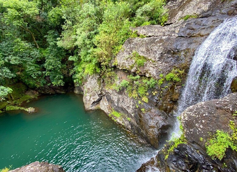 Picture 2 for Activity From Quatre Cocos: Tamarind Falls Hiking Day Trip