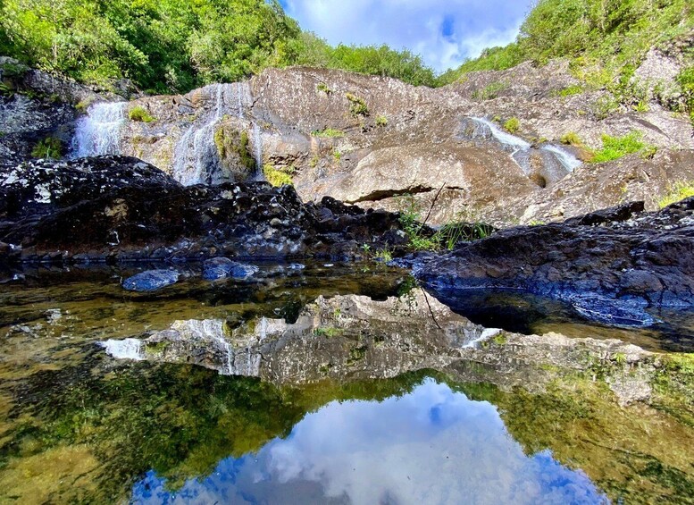 Picture 5 for Activity From Quatre Cocos: Tamarind Falls Hiking Day Trip