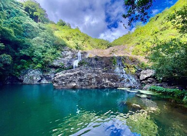 Von Quatre Cocos aus: Tagesausflug zu den Tamarind Falls