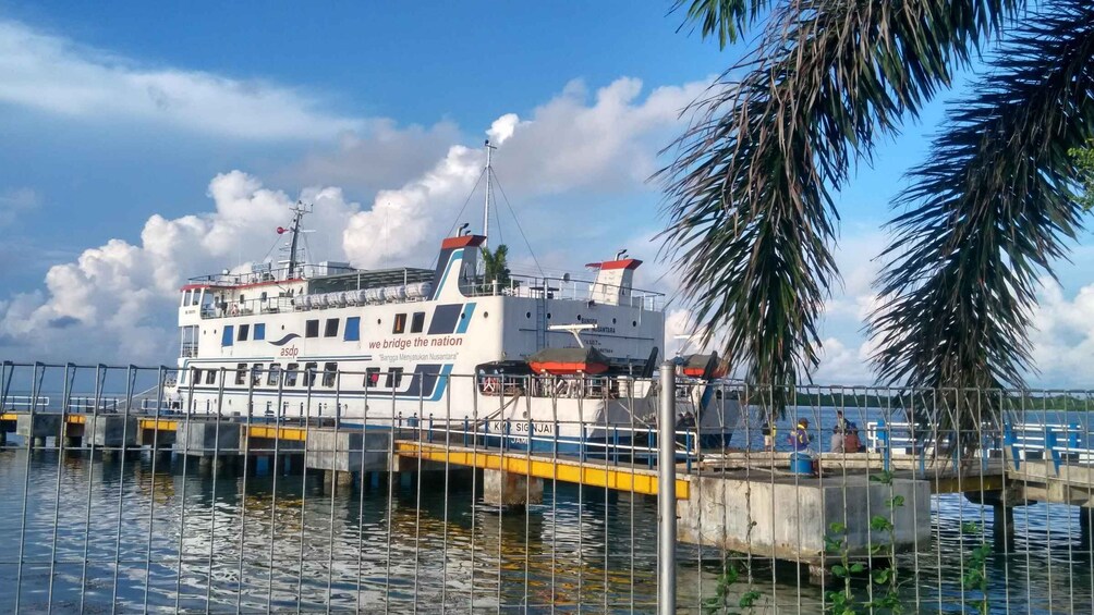 Picture 4 for Activity From Jepara: 3-Day Snorkeling Tour in the Karimunjawa Island