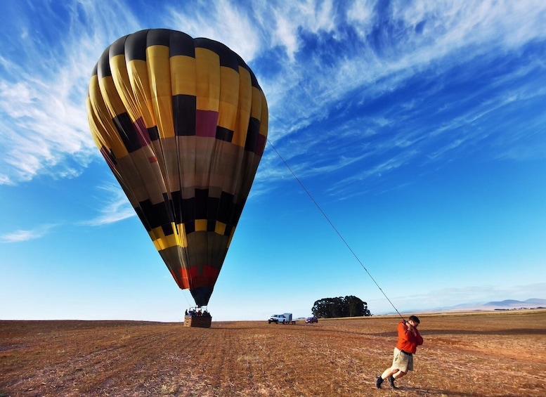 Picture 1 for Activity Hot air Ballon and Cape Wine lands Private guided tour