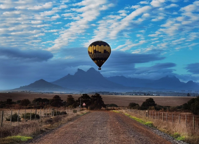 Picture 6 for Activity Hot air Ballon and Cape Wine lands Private guided tour