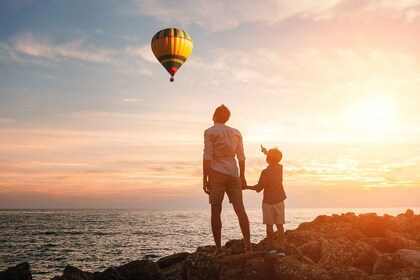 Ballon en air chaud et terres viticoles du Cap Visite guidée privée