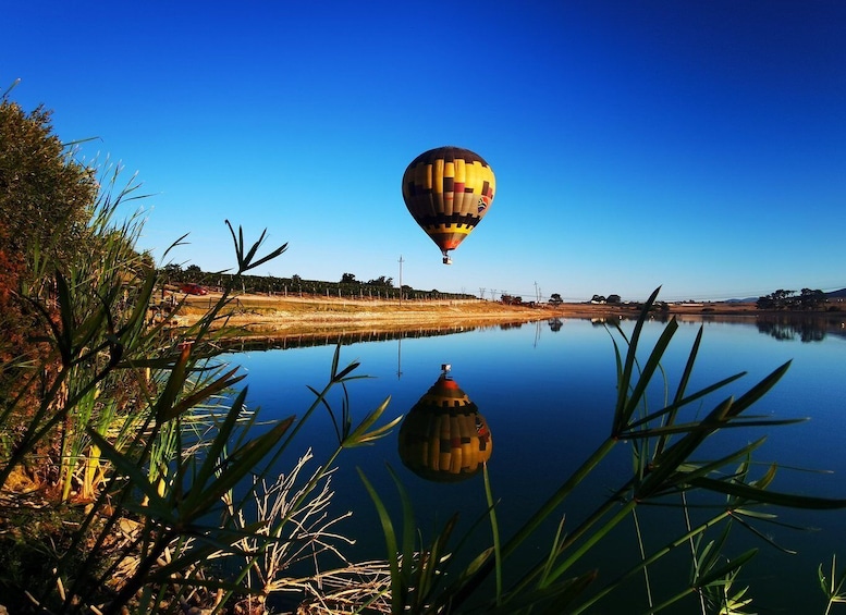 Picture 5 for Activity Hot air Ballon and Cape Wine lands Private guided tour