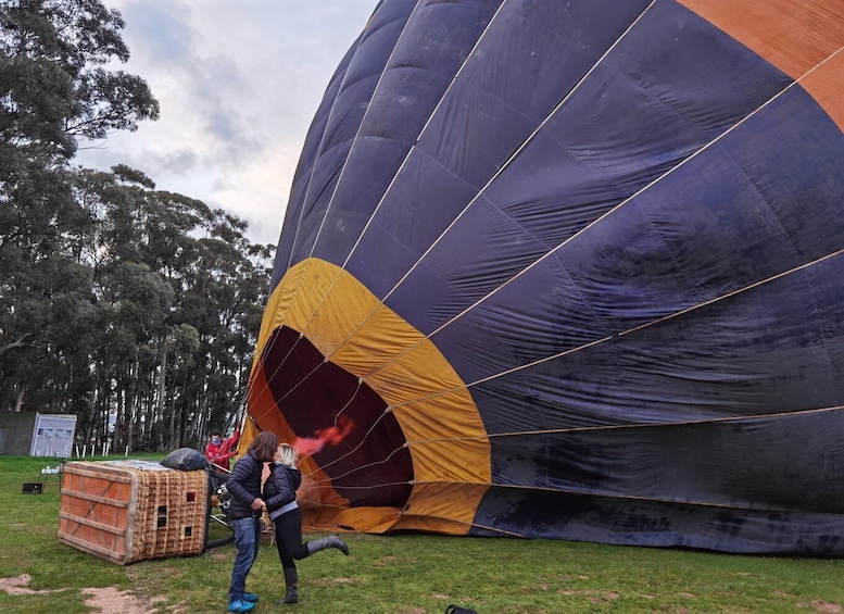 Picture 2 for Activity Hot air Ballon and Cape Wine lands Private guided tour