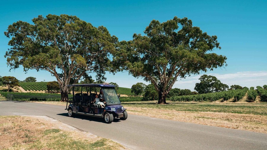 Barossa Valley: EcoVine Explorer - e-cart vineyard tour