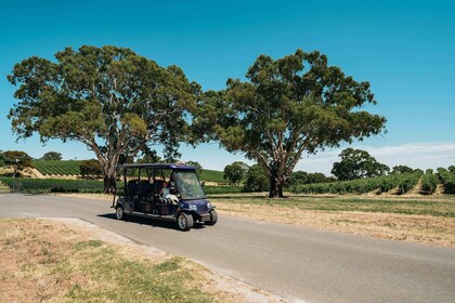 Barossa Valley: EcoVine Explorer - e-cart vineyard tour