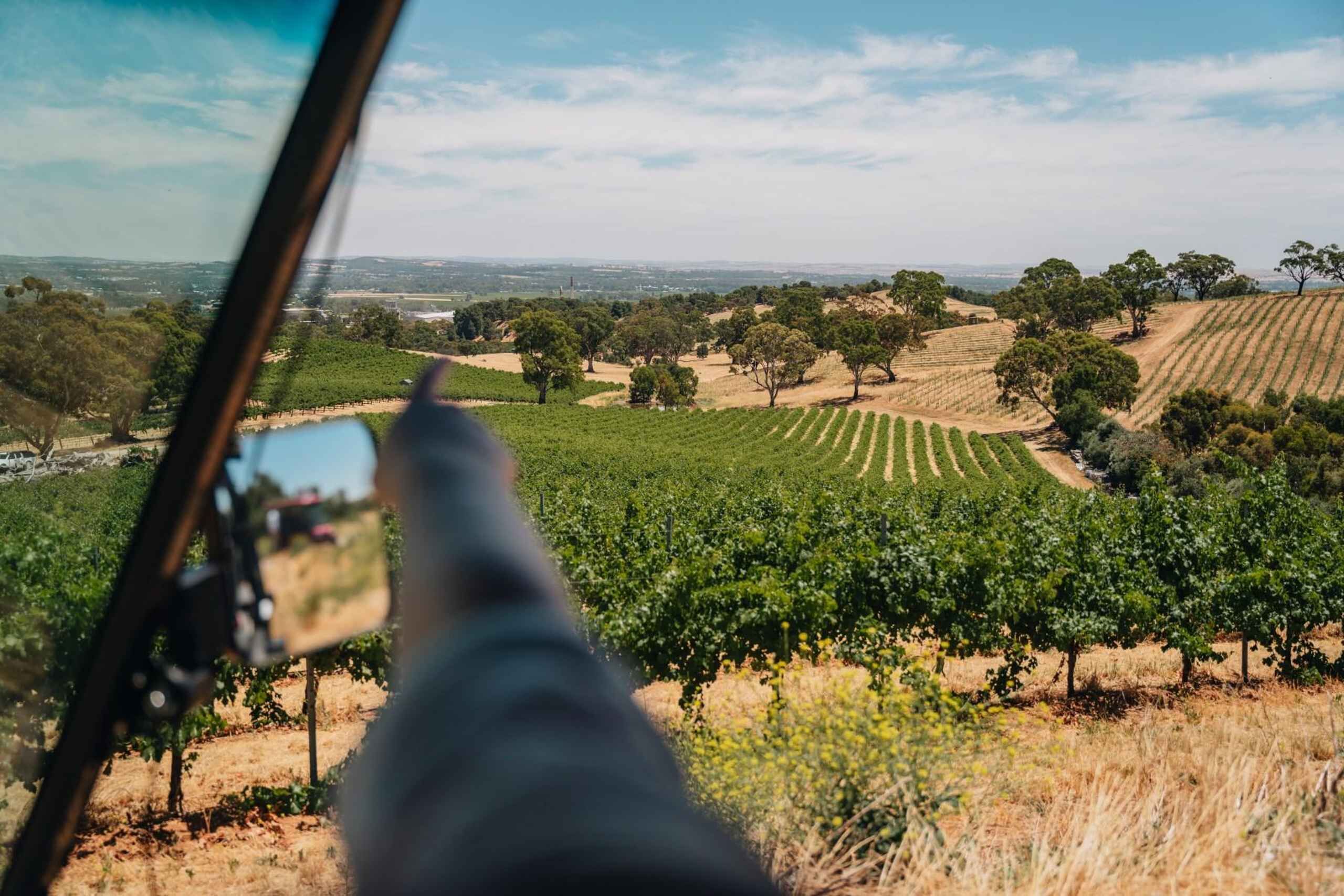 Picture 4 for Activity Barossa Valley: EcoVine Explorer - e-cart vineyard tour