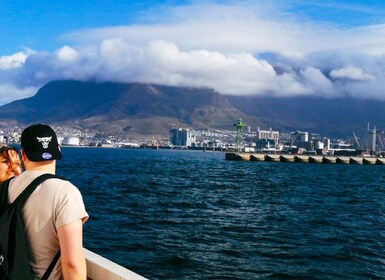 Private Multi-Day Tour to Table Mountain and Robben Island f