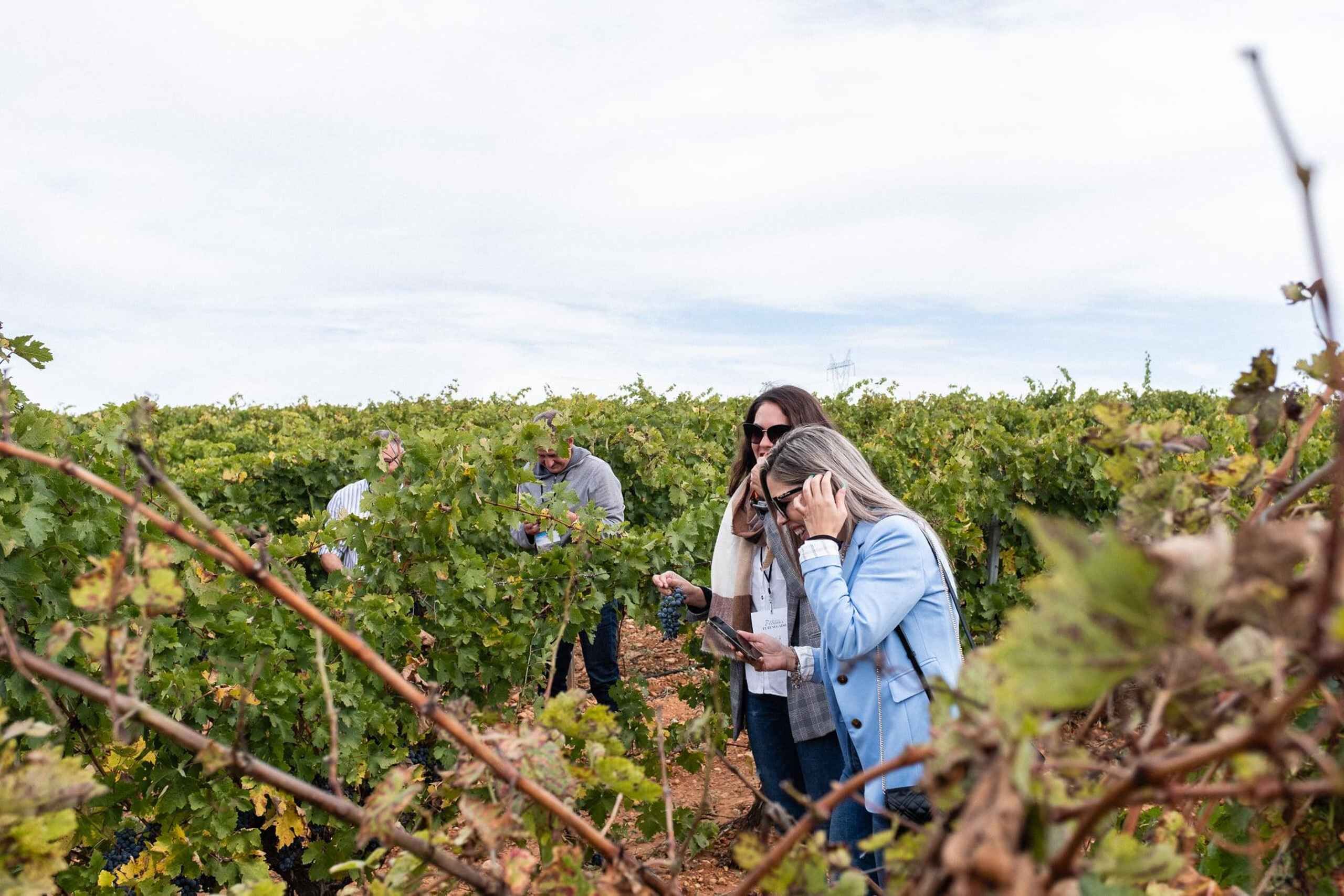 Valencia: Winery Visit with Vineyard Tour & Wine Tasting