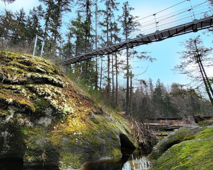 Picture 3 for Activity Nanaimo: Vancouver Island Waterfalls, Vistas, Hikes & Caves