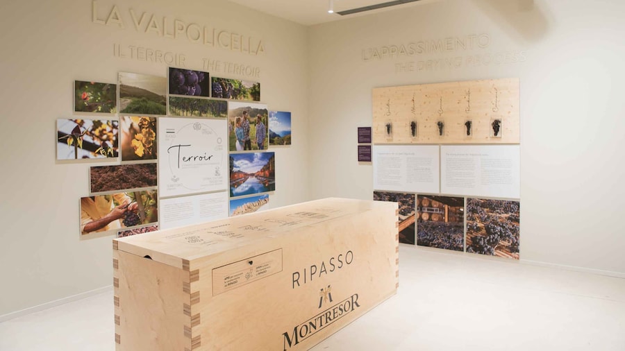 Non guided tour of the wine museum and amarone tasting