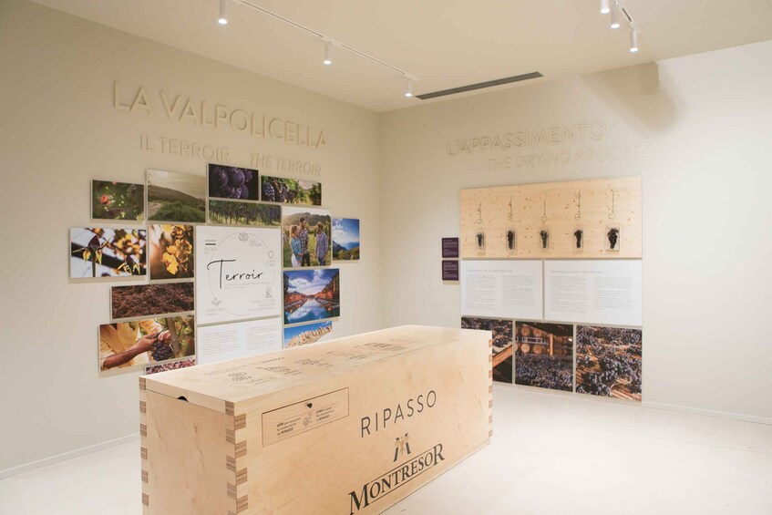 Non guided tour of the wine museum and amarone tasting