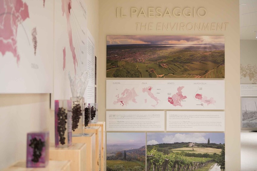 Picture 4 for Activity Non guided tour of the wine museum and amarone tasting