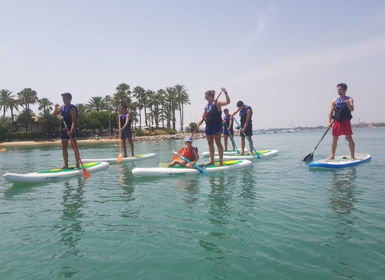 Picture 1 for Activity Puerto de Alcudia: Stand-Up Paddleboard Lesson