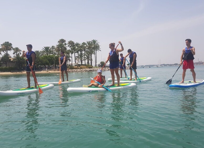 Picture 1 for Activity Puerto de Alcudia: Stand-Up Paddleboard Lesson