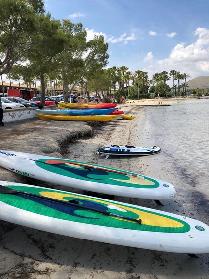 Picture 4 for Activity Puerto de Alcudia: Stand-Up Paddleboard Lesson