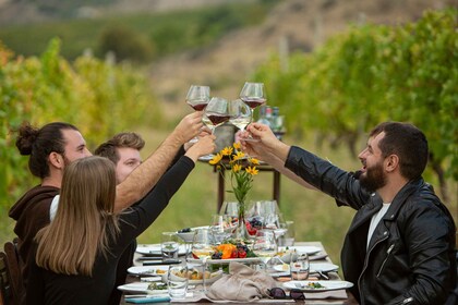 Areni Vineyards: 3-Course Meal with Wine in the Vineyards