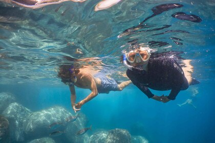 Funchal: Snorkelling Adventure in the Eco-Park