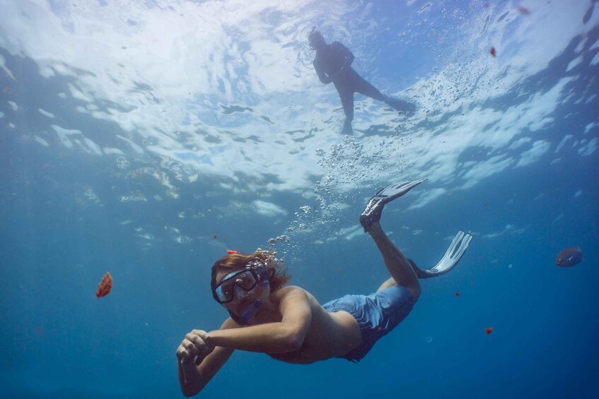 Picture 2 for Activity Funchal: Snorkeling Adventure in the Eco-Park