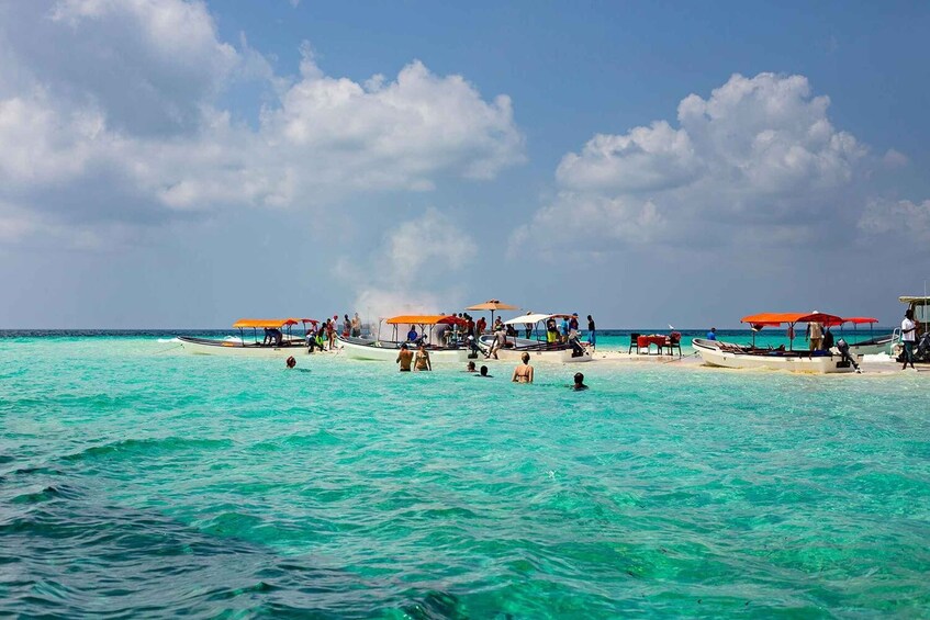 Picture 3 for Activity Zanzibar Blue Safari: Snorkeling, Sandbanks, Lunch & Fruits