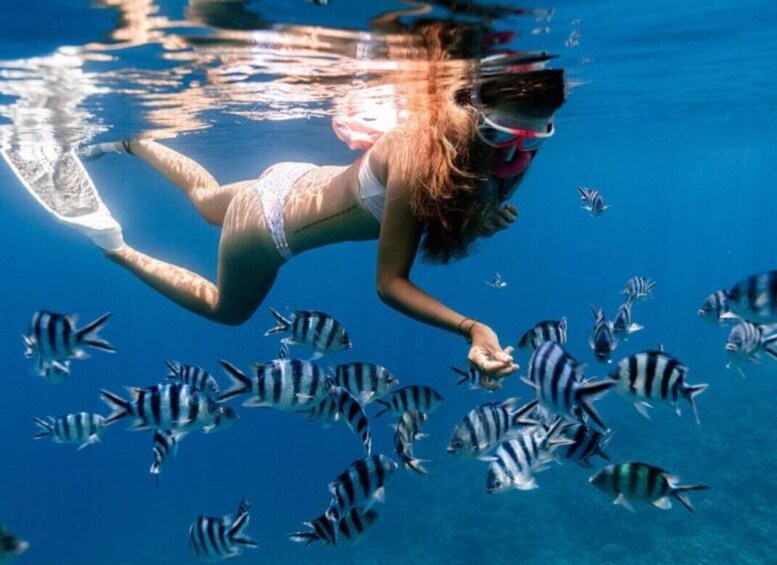 Picture 2 for Activity Zanzibar Blue Safari: Snorkeling, Sandbanks, Lunch & Fruits