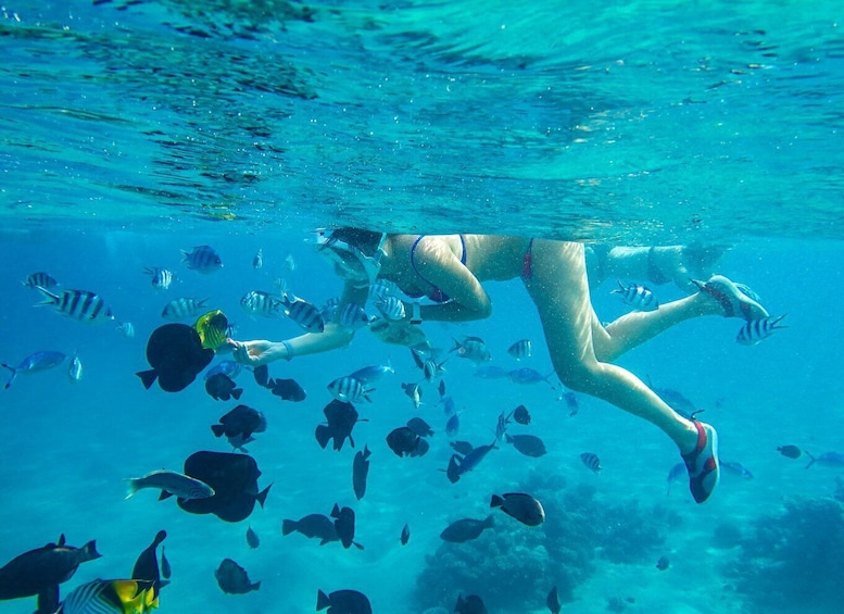 Zanzibar Blue Safari: Snorkeling, Sandbanks, Lunch & Fruits