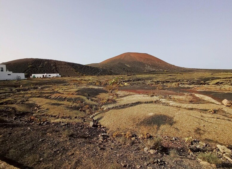 Picture 1 for Activity Winetourism in Lanzarote: the first vineyards in Masdache