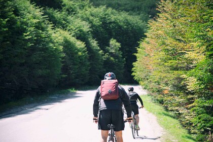 E-BIKE Beagle Viewpoint