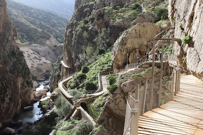 From Malaga: Caminito del Rey and Lake Swimming Private Tour