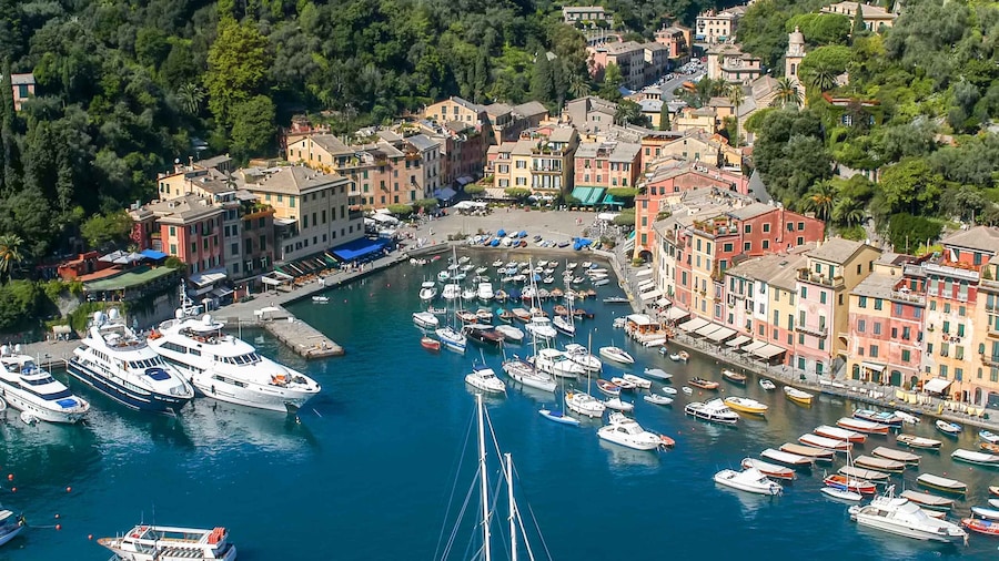Genoa: Full-Day Tour to Camogli & San Fruttuoso