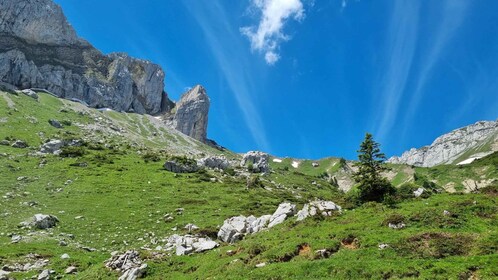 Luzern: Guided Hidden Mount Pilatus Hike