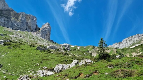 Luzern: Guided Hidden Mount Pilatus Hike