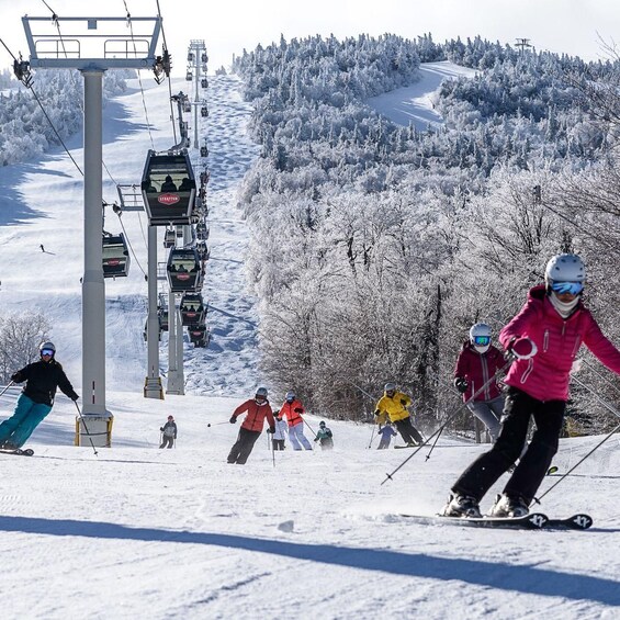 Montreal: Guided Skiing or Snowboarding in Quebec Forests