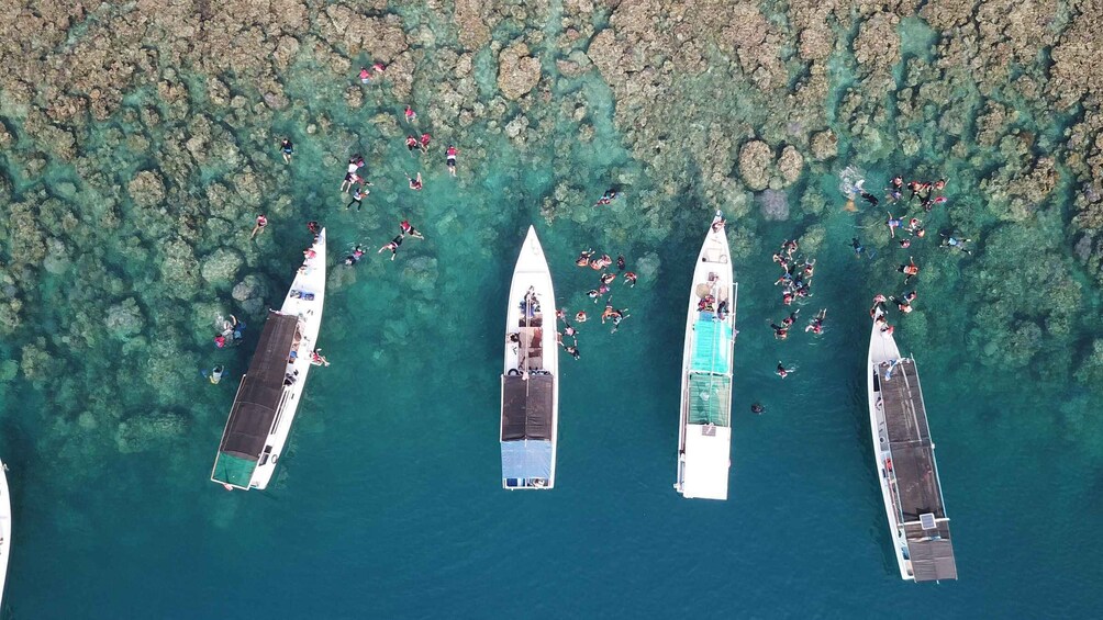 Picture 8 for Activity Snorkelling & islandhopping tour Karimunjawa (private tour)