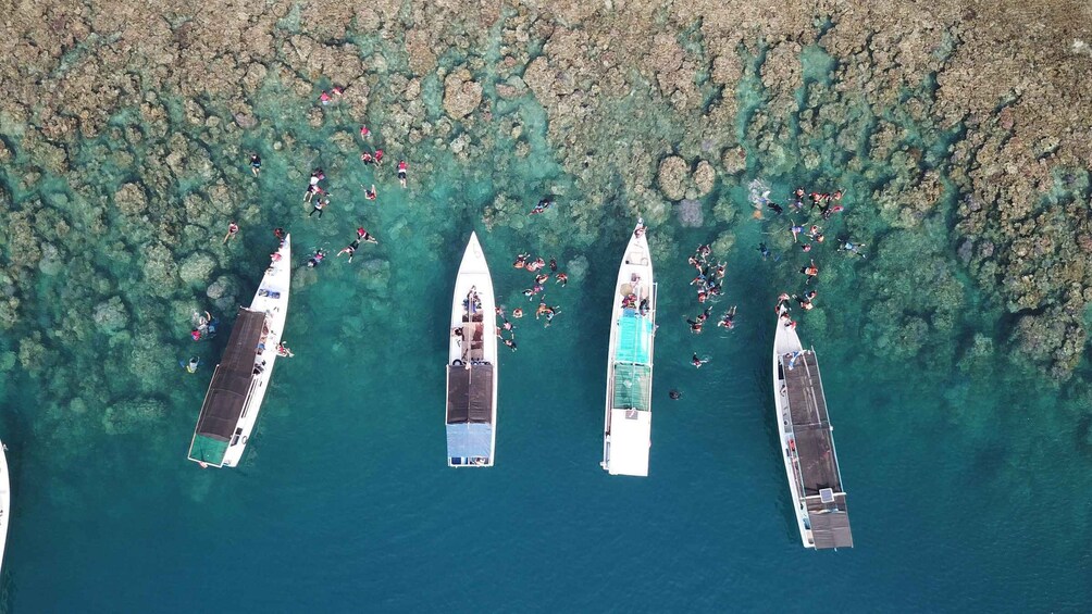 Picture 8 for Activity Snorkelling & islandhopping tour Karimunjawa (private tour)