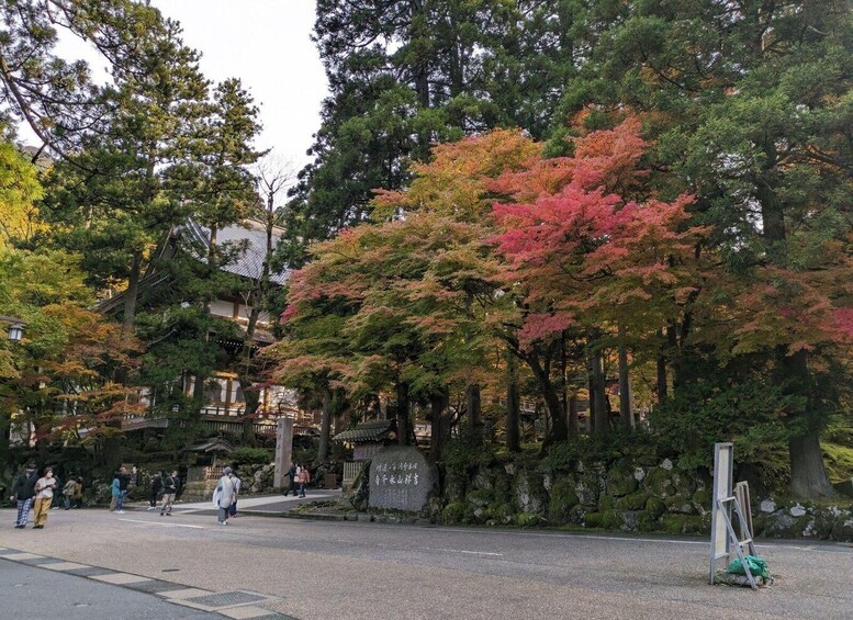 Picture 3 for Activity From Kanazawa: Eiheiji Buddhist Temple & Fukui Castle Town