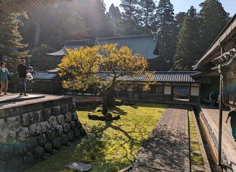 Picture 4 for Activity From Kanazawa: Eiheiji Buddhist Temple & Fukui Castle Town