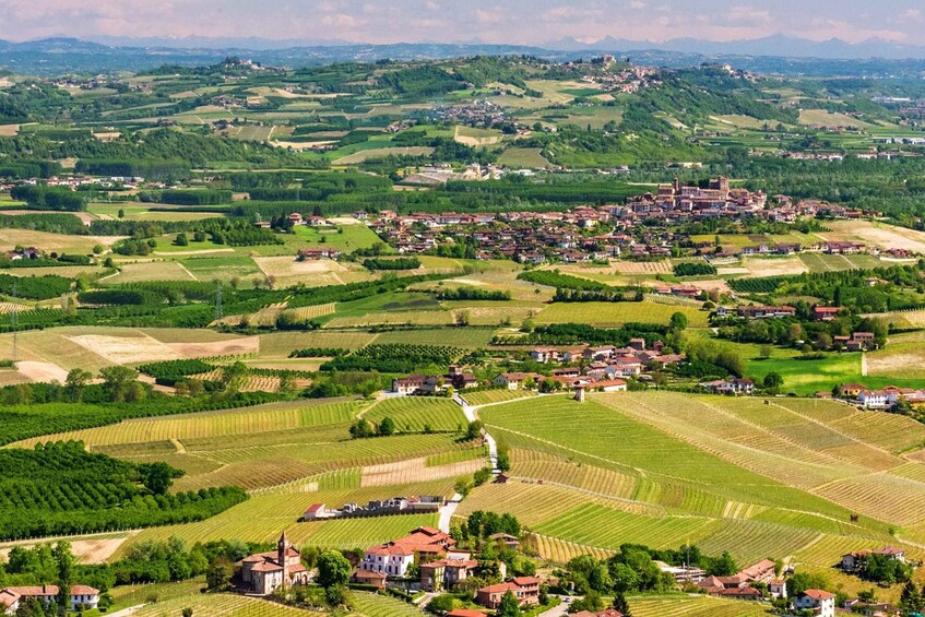 Picture 1 for Activity Langhe / Barolo / Alba - Tour in Ferrari