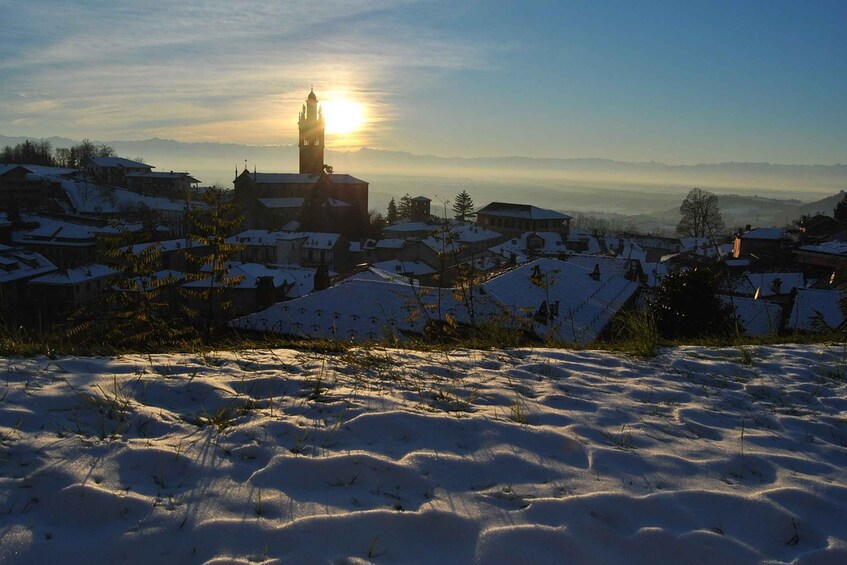 Picture 5 for Activity Langhe / Barolo / Alba - Tour in Ferrari