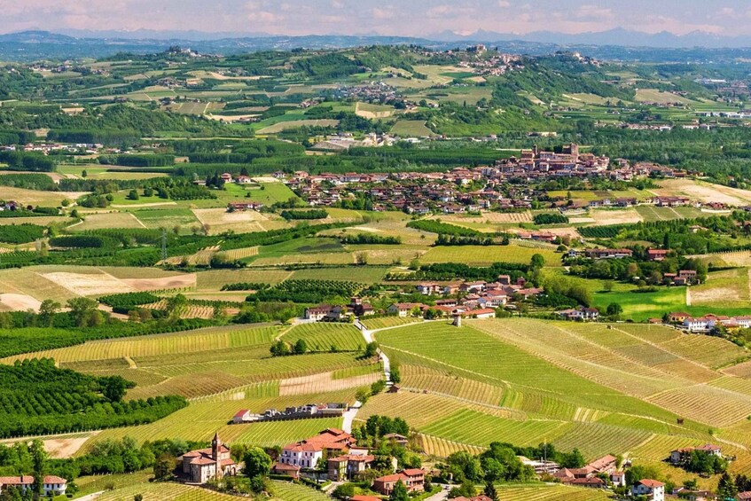 Picture 1 for Activity Langhe / Barolo / Alba - Tour in Ferrari