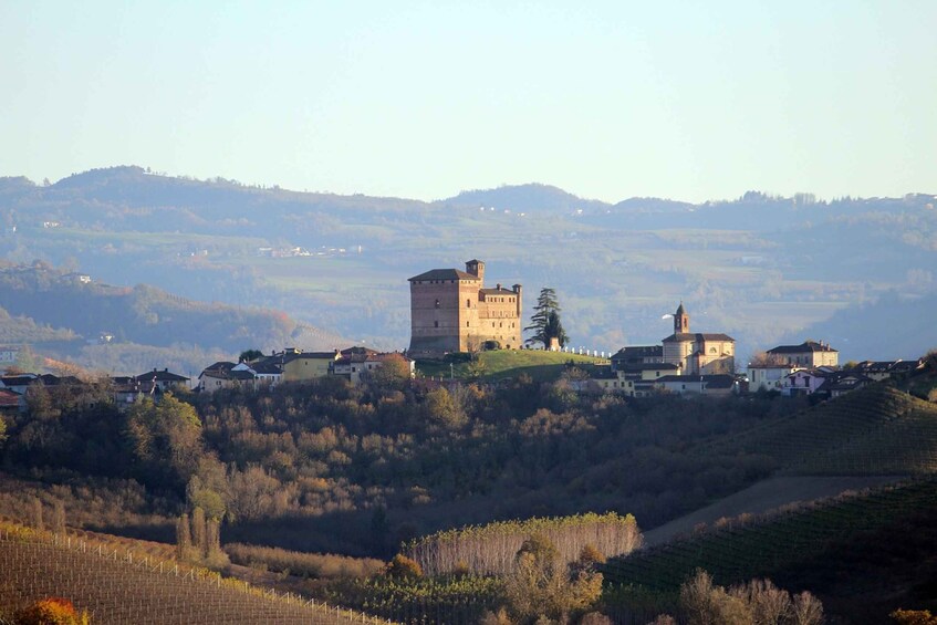 Langhe / Barolo / Alba - Tour in Ferrari