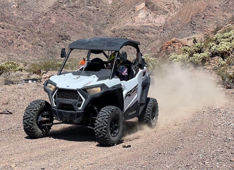 Las Vegas: Colorado River Adrenaline RZR Tour