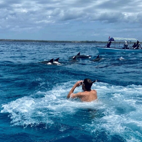 VIP Mnemba Island, Dolphins, Diving and Snorkeling