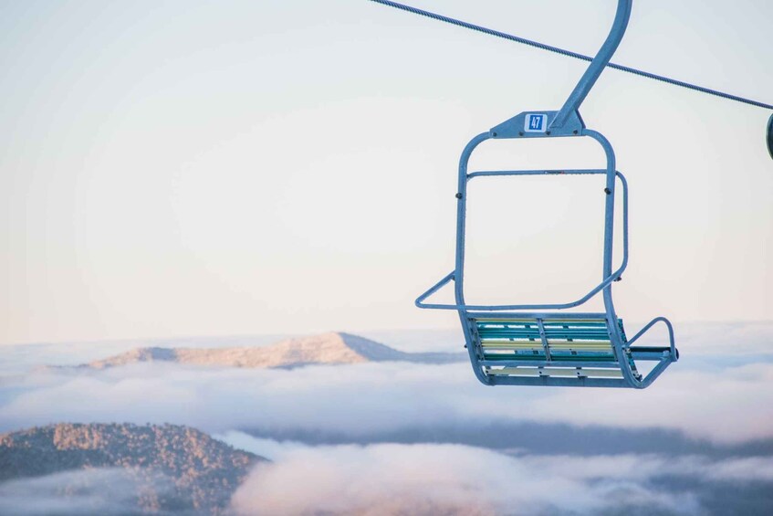 Picture 2 for Activity From Melbourne: Mount Buller Guided Day Tour