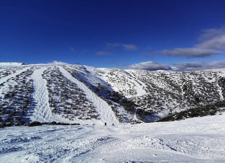 Picture 4 for Activity From Melbourne: Mount Buller Guided Day Tour