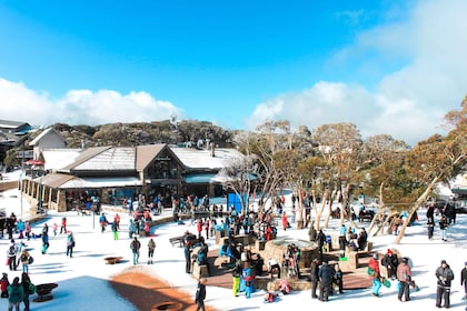 From Melbourne: Mount Buller Guided Day Tour