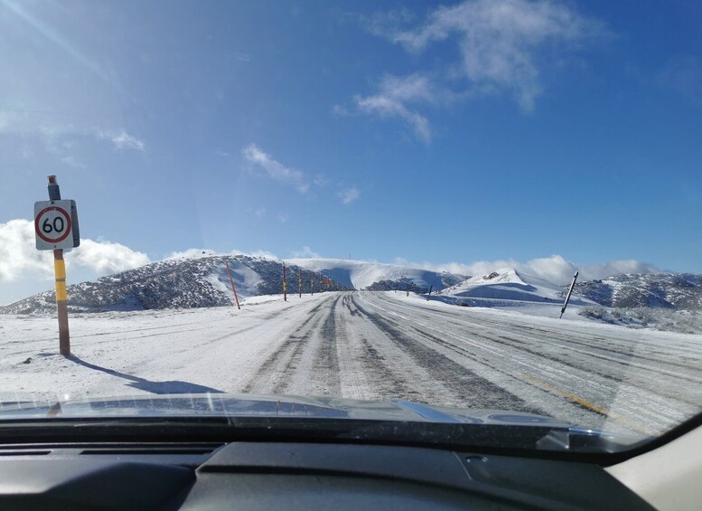 Picture 3 for Activity From Melbourne: Mount Buller Guided Day Tour
