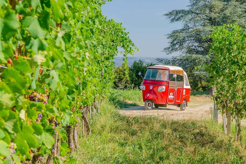 Picture 2 for Activity Langhe tour by Ape with a delicious Barolo wine tasting